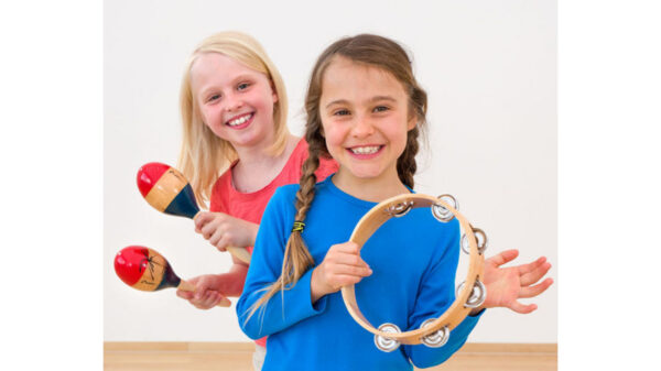 Headless tambourine - Image 5