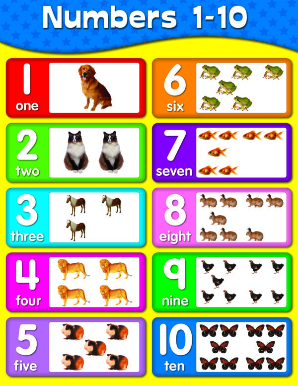 Number Chart 1-10