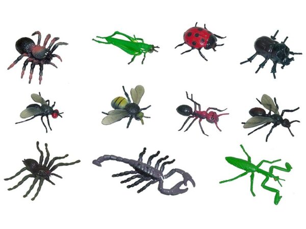Bugs Set 12-Box