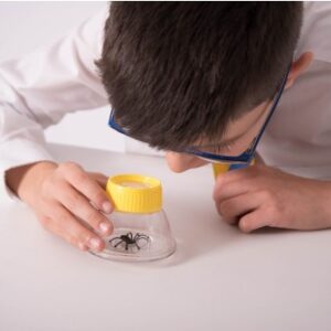 Bug Viewer Supreme