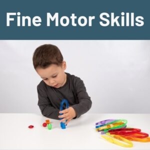 Fine Motor Skills