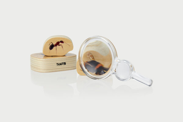 Class Pack of Magnifiers and Hand Lenses - Image 4
