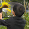Large sheet magnifier - Image 4