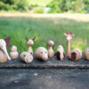 Wooden Animal Friends Pk. 10