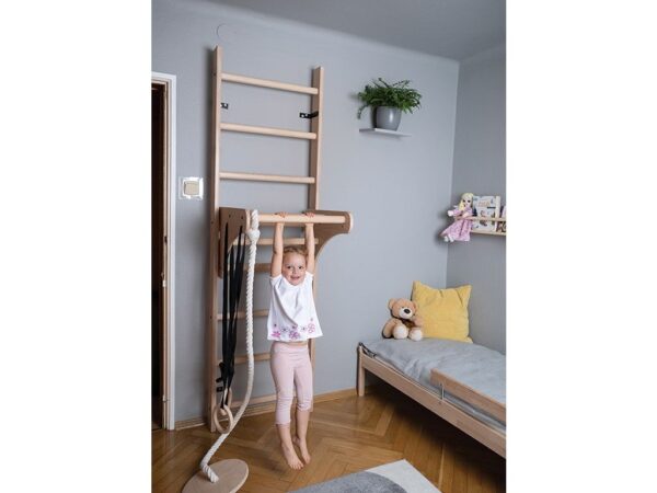 Multipurpose wall ladder