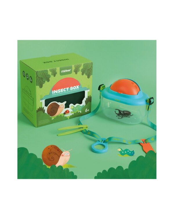 Insect Box - Image 2