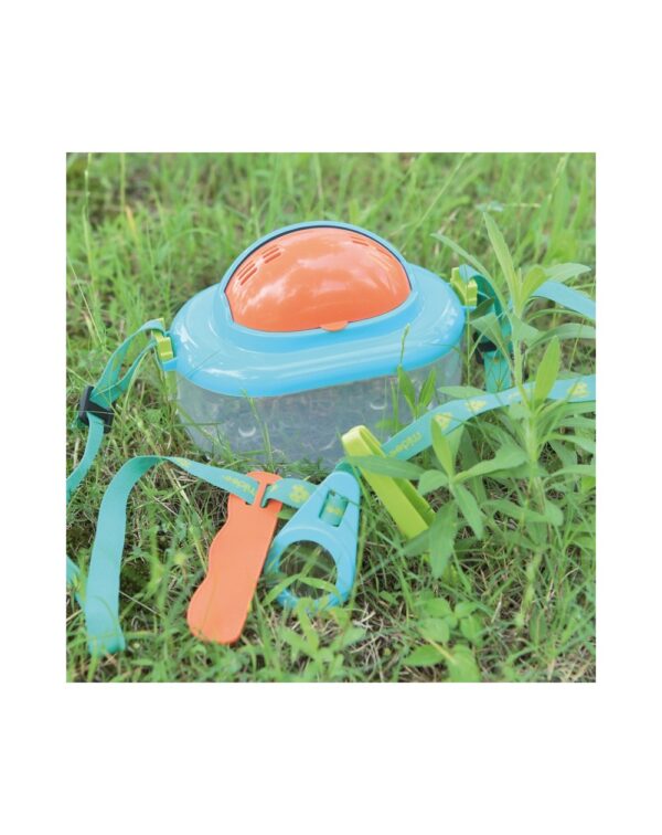 Insect Box - Image 3