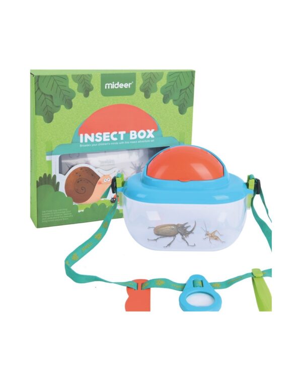 Insect Box - Image 4