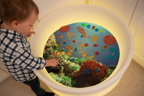 Under the Sea Discovery Play Mat - Image 2