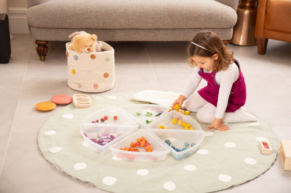 Discovery Trays - Pk6 - Image 6