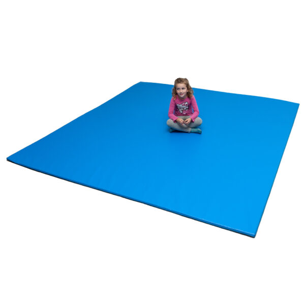 Blue Tatami Mat without Motif