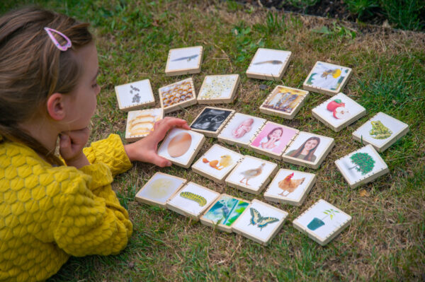 Wooden Lifecycle Tiles - Image 3