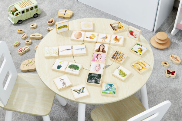 Wooden Lifecycle Tiles - Image 2