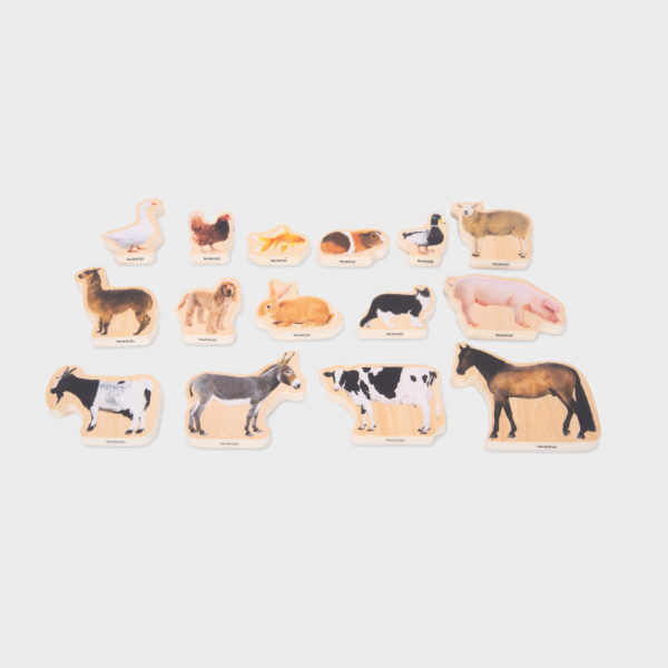 Wooden Domestic Animal Blocks Pk. 15 - Image 10