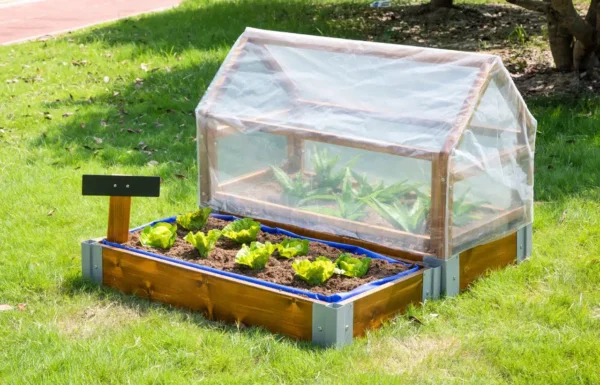 Green house