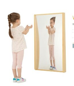 Wall Mirror Concave