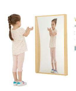 Wall Mirror Concave