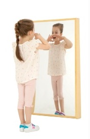 Wall Mirror Convex